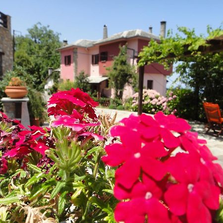 Guesthouse Iris Cangaráda Kültér fotó