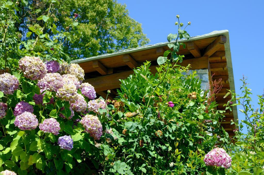 Guesthouse Iris Cangaráda Kültér fotó