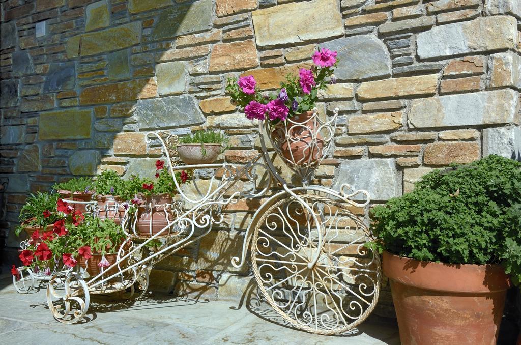 Guesthouse Iris Cangaráda Kültér fotó
