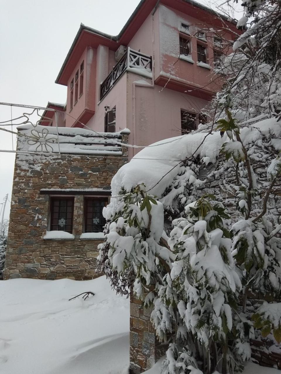 Guesthouse Iris Cangaráda Kültér fotó